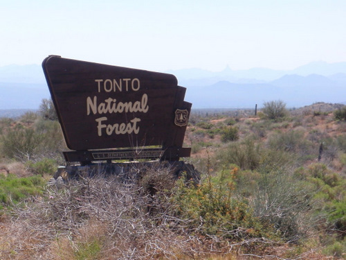 Tonto National Forest entrance sign.